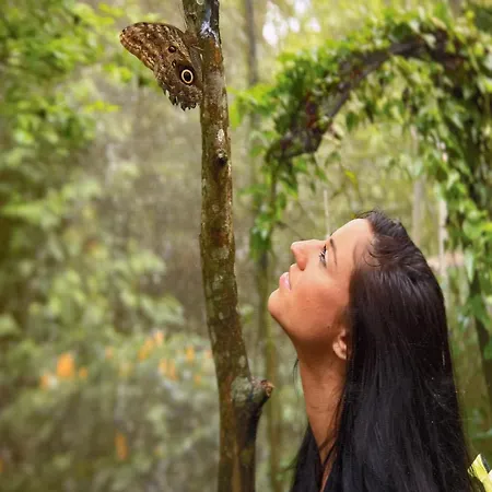 Pensionat Bulgarane House *