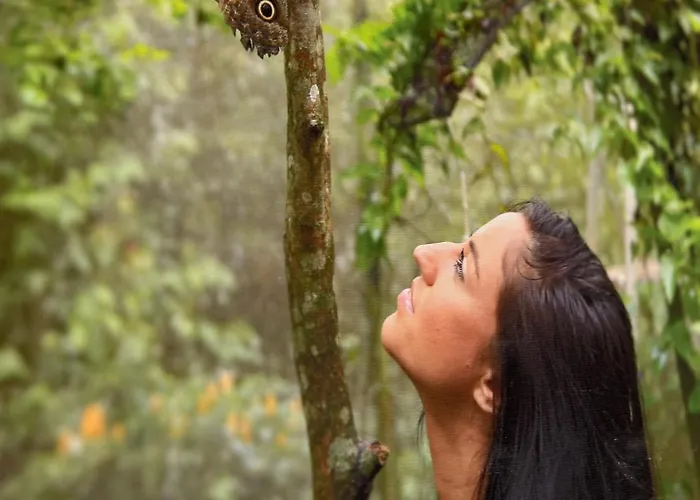 Pensjonat Bulgarane House *